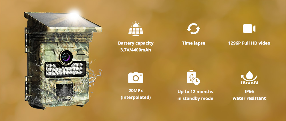 Kamera śladowa Wachman Solar Lite z panelem słonecznym
